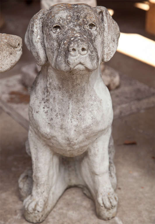 stone labrador statue