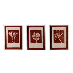 Floral Monoprints from California artist Ann Thornycroft