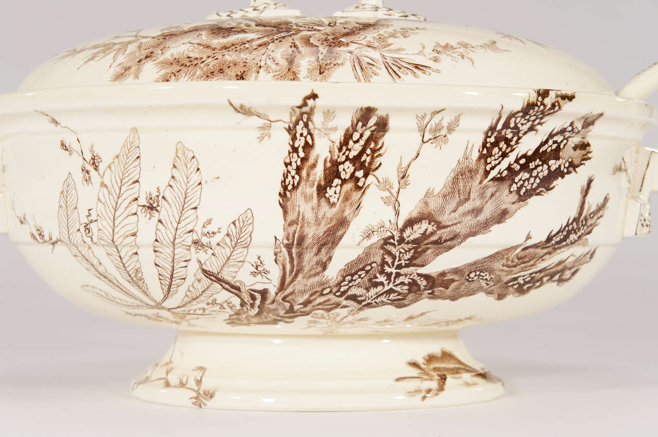 Wedgwood 