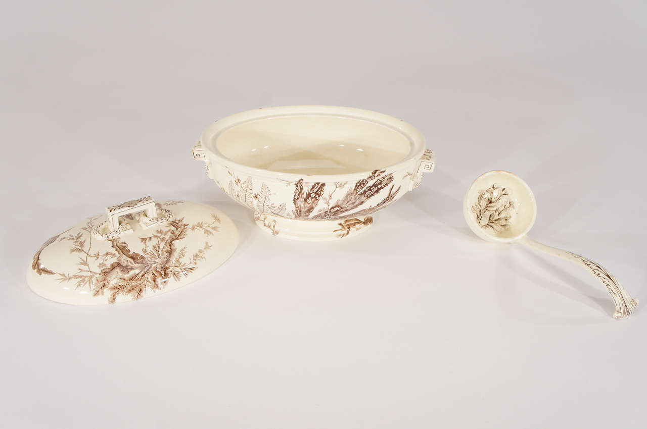 Wedgwood 