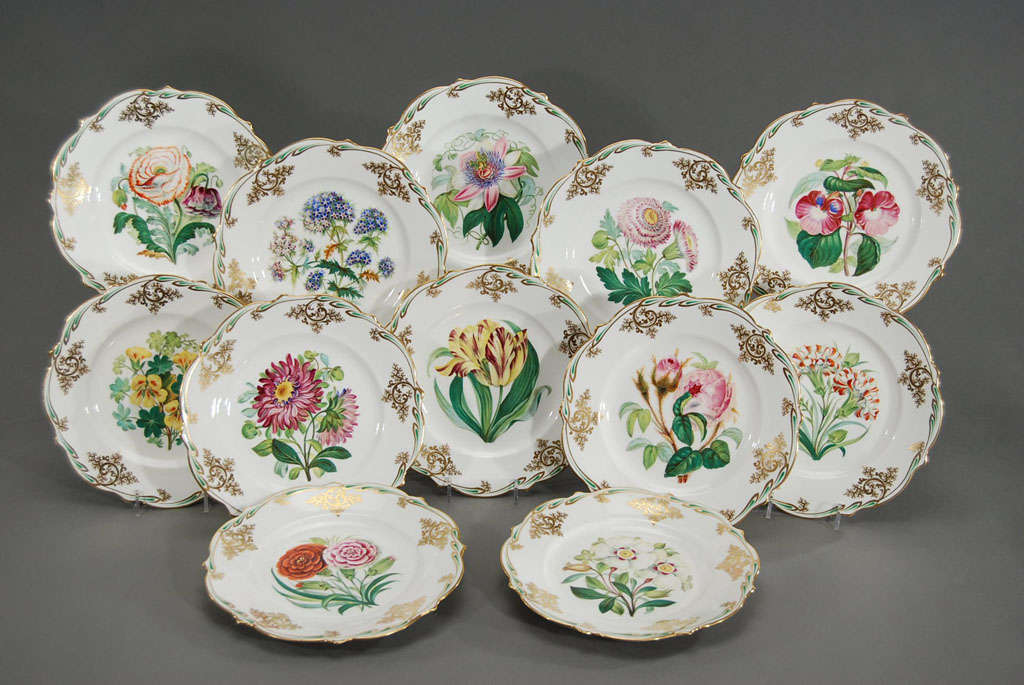 A wonderful set of 12 detailed and finely painted dessert plates; an excellent choice to be used as decoration on open shelving or in a cabinet. Each plate depicts a unique vibrantly painted botanical specimen which is titled on the reverse. The