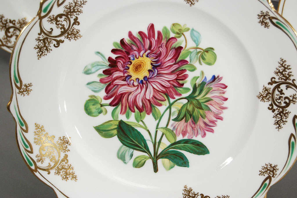 19th Century Set of 12 19th C. Handpianted Botanical Cabinet/Dessert Plates
