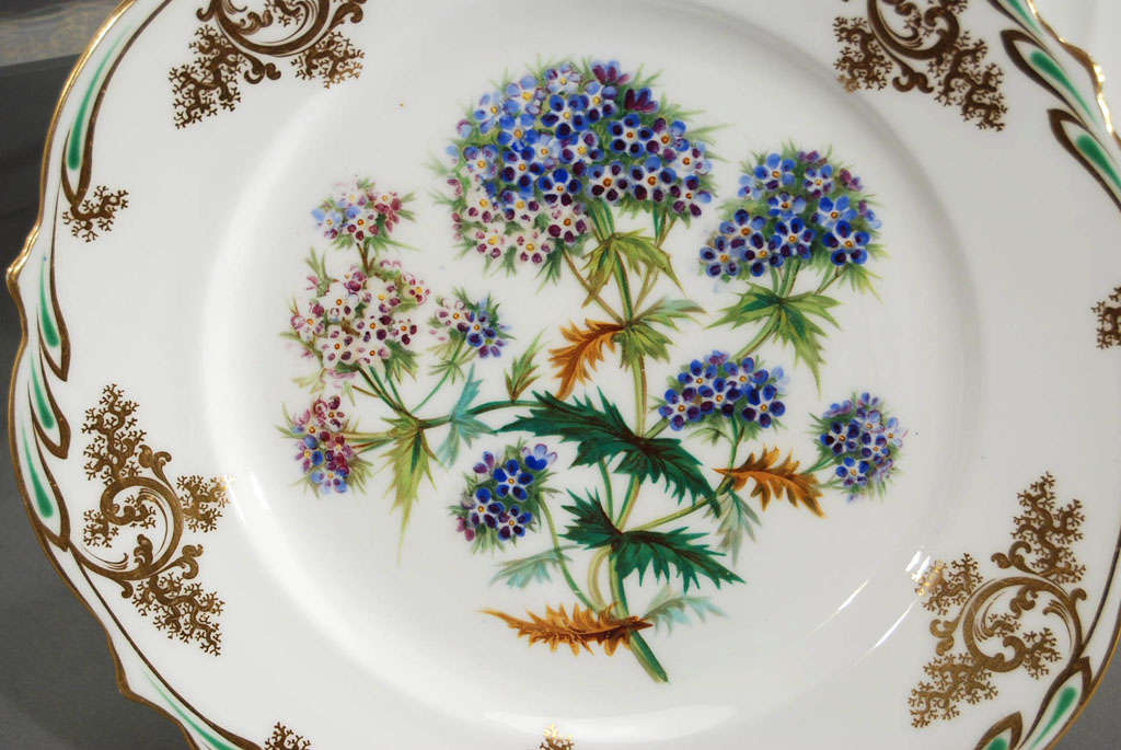 Set of 12 19th C. Handpianted Botanical Cabinet/Dessert Plates 1