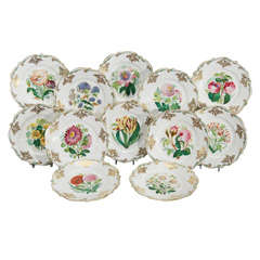 Set of 12 19th C. Handpianted Botanical Cabinet/Dessert Plates