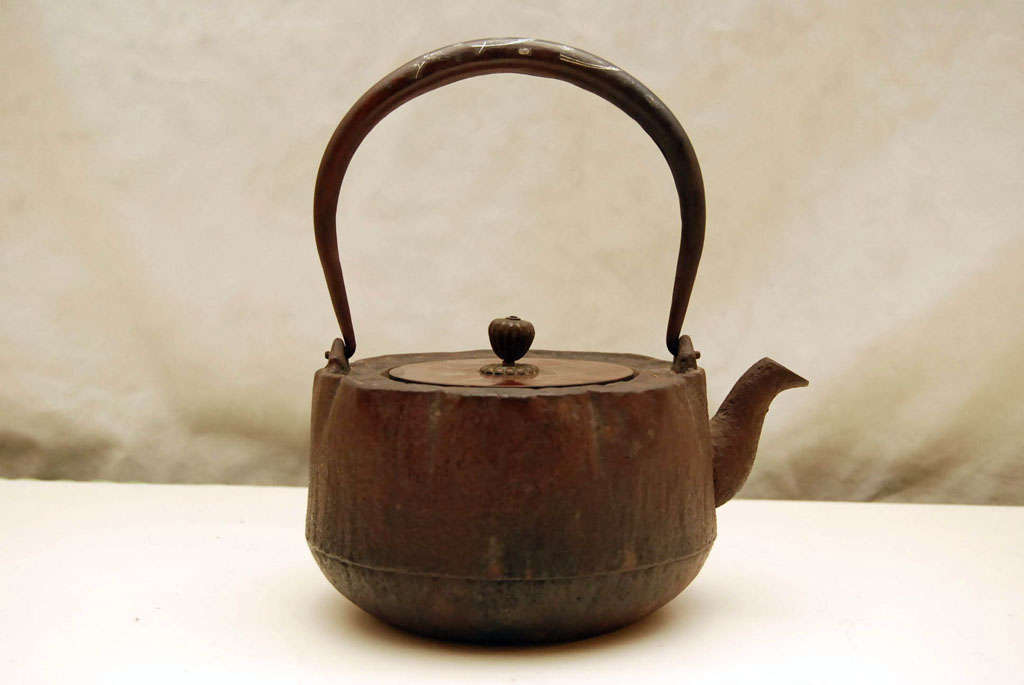 Cast Bronze and Iron Japanese Teapot For Sale