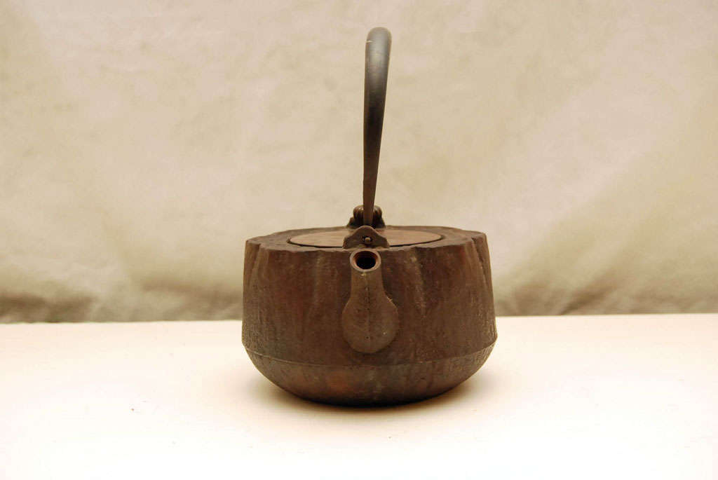 19th Century Bronze and Iron Japanese Teapot For Sale