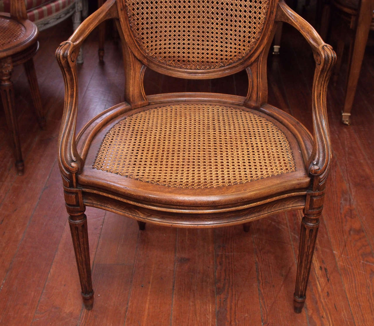 French Set of Ten 19th Century Dining Room Chairs