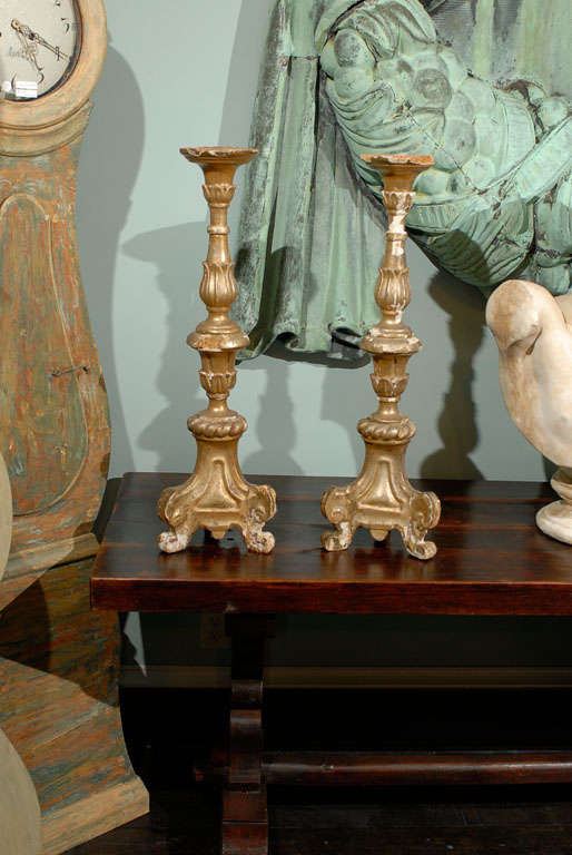 A pair of Italian late 18th, early 19th century gilded altarsticks. This pair of Italian good sized altarsticks features gilding on all sides. The central column is carved with delicate floral motifs and is raised on a tripod base. The top of these