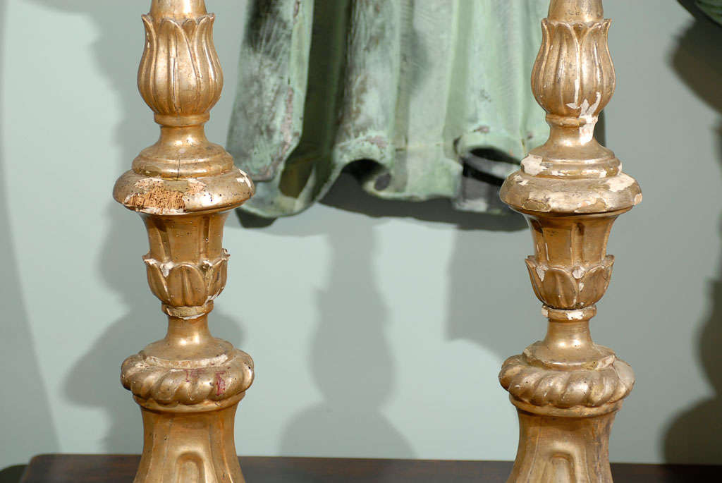 18th Century and Earlier Pair of Italian 18th Century Giltwood Altarsticks For Sale