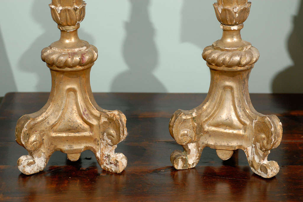 Wood Pair of Italian 18th Century Giltwood Altarsticks For Sale