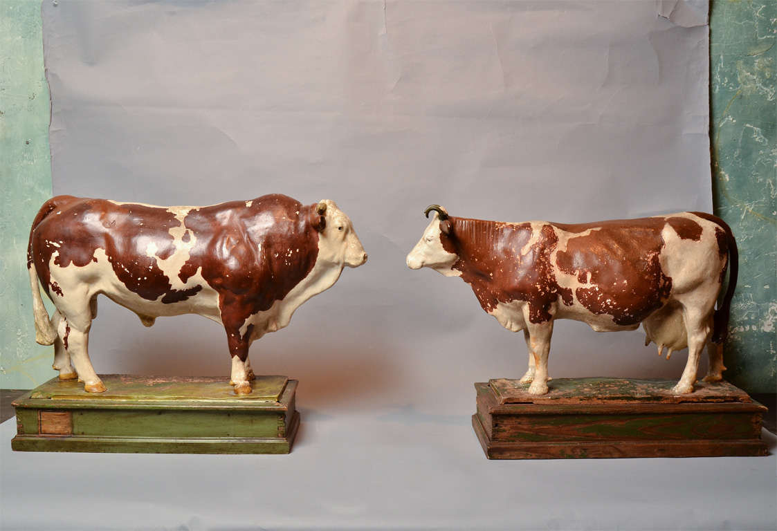 Pair Hereford Cows in Chalk. Features The Bull and The Heifer<br />
on Wooden Painted Bases. Very Charming.
