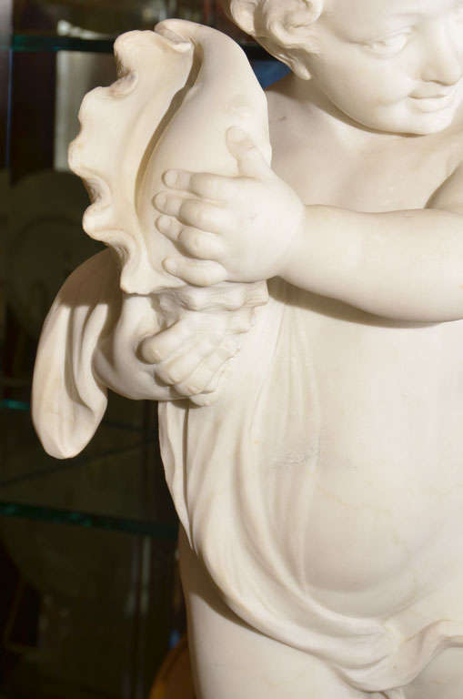 Marble 19th c Carrera marble cherub holding a conch shell