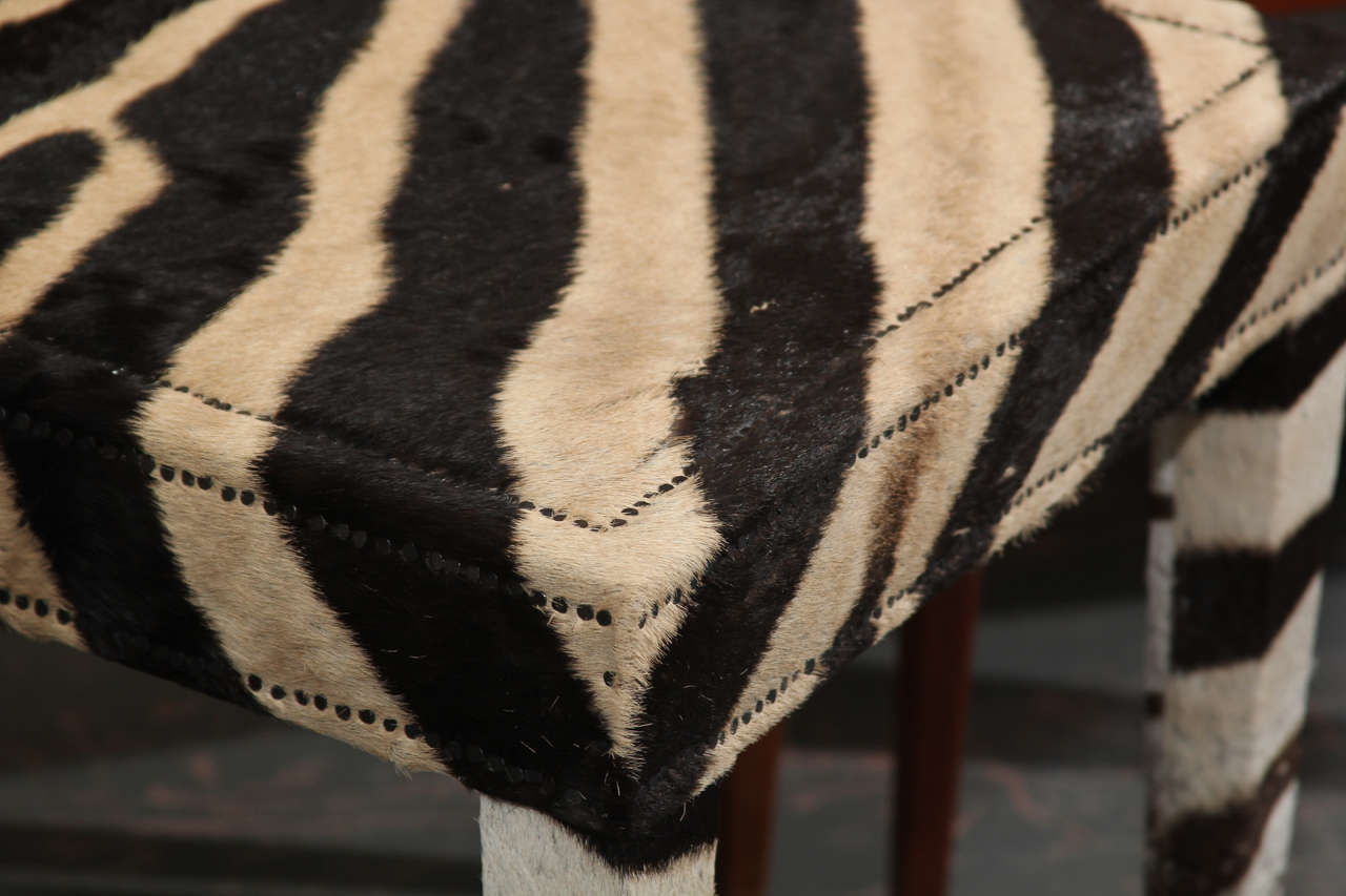Mid-20th Century Pair of Benches in Vintage Zebra