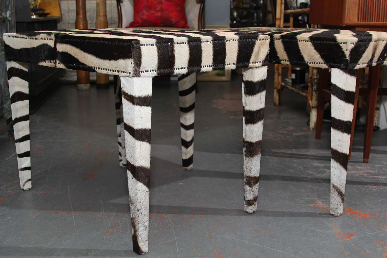Pair of Benches in Vintage Zebra 4