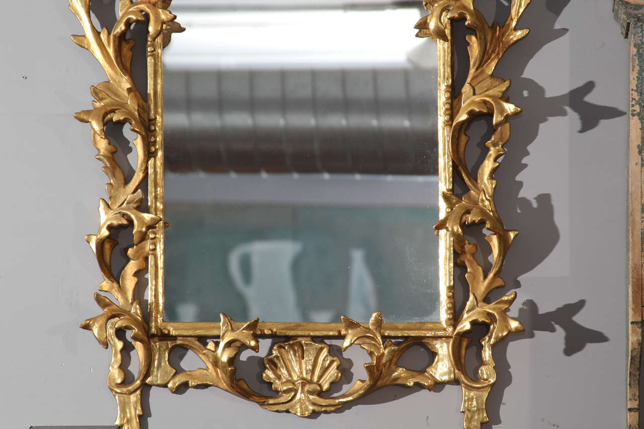 19th Century Lovely Carved Wood Gilt Mirror