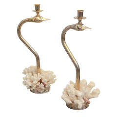 Pair of Coral and Brass Candlesticks
