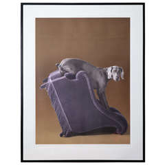 "Side View" Color Lithograph Signed and Numbered by William Wegman circa 1993