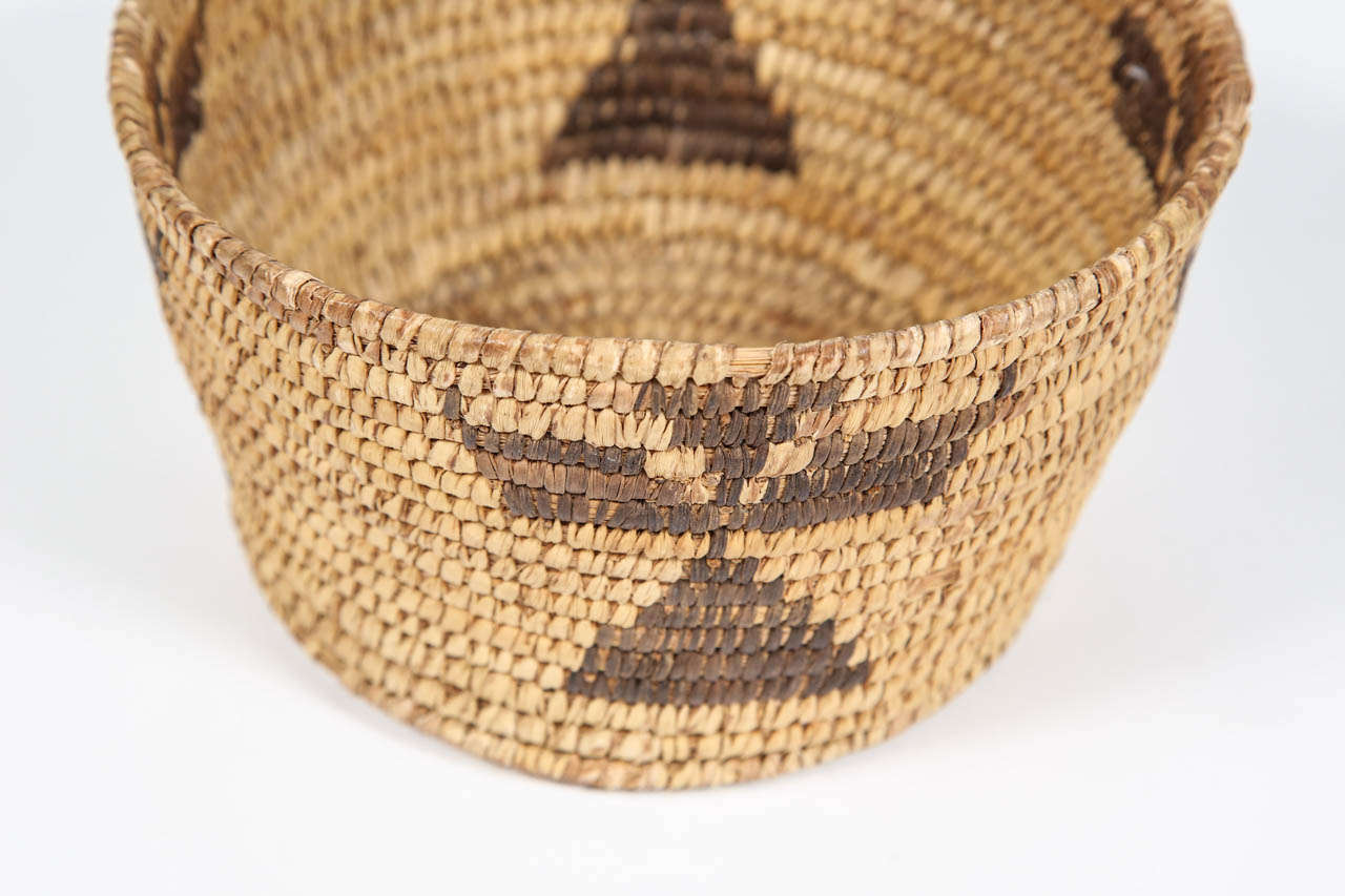 Tribal Papago Basket
