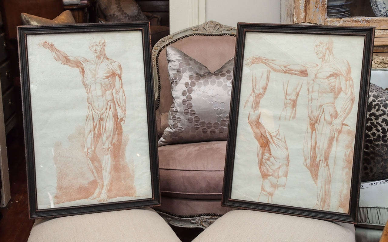 19th Century Pair of Sanguine Drawings
