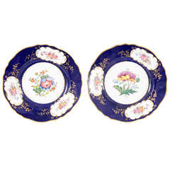 Pair of Similar Ridgway Porcelain Service Plates 9