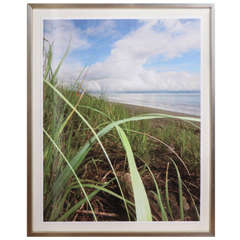 Used Beach Grass on Costa Rica Beach - Mariette Himes Gomez Giclee Print