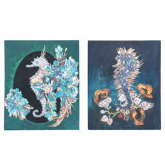 Collages of Seahorses