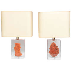 Natural Red Coral in Lucite Block Table Lamps - Sold Indivdually 4