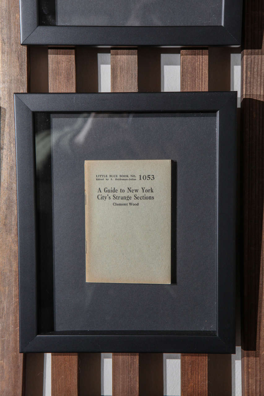 American Framed Little Blue Books For Sale