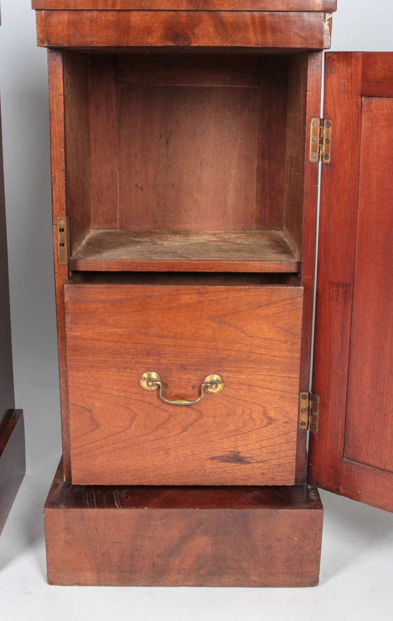 19th Century Pair of Mahogany Pedestal Cabinets For Sale