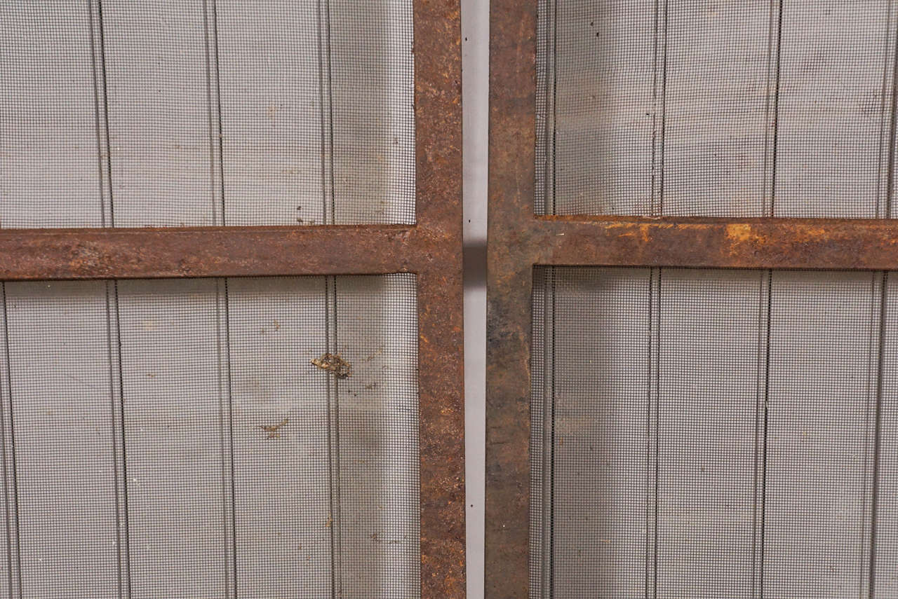 Pair of Metal Gothic Screens In Distressed Condition In Hudson, NY