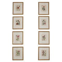 Dutch Copper Engravings