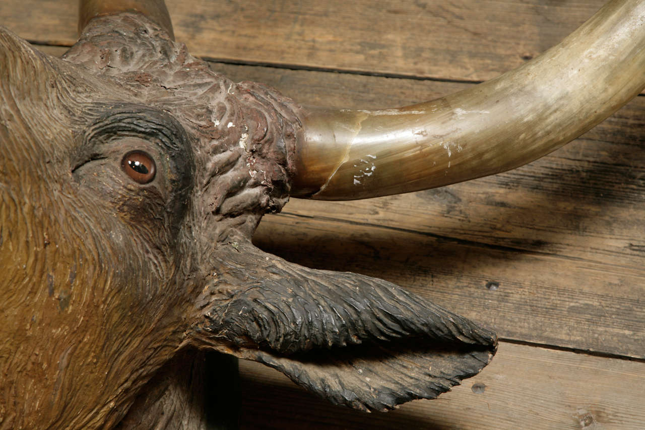 Modello di cartapesta a grandezza naturale di un manzo pregiato In condizioni buone in vendita a London, GB