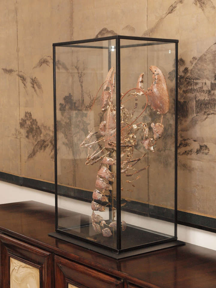 Unusual sculpture signed Violo; the lacquered carapace assembled with copper wire; wooden base with glass case