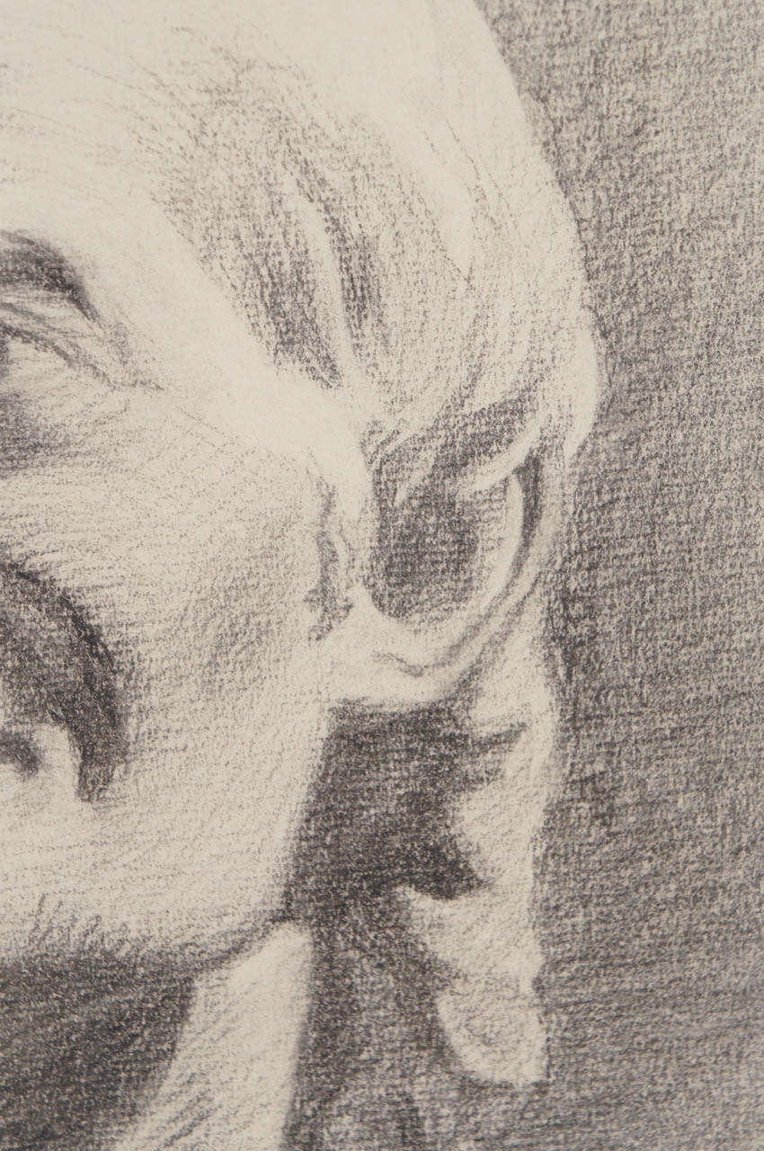 drawing of voltaire