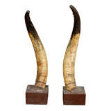 PAIR OF EARLY BULL HORNS ON BASES