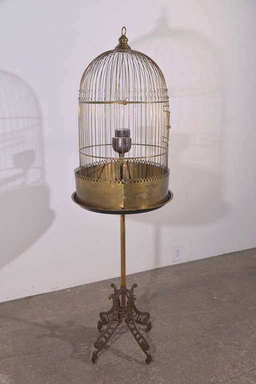 Victorian style brass bird cage.