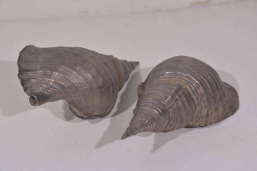 Cast pewter conch shells as seen in Kelly Wearstler's 