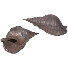 Pair of Cast Pewter Conch Shells by Maitland-Smith