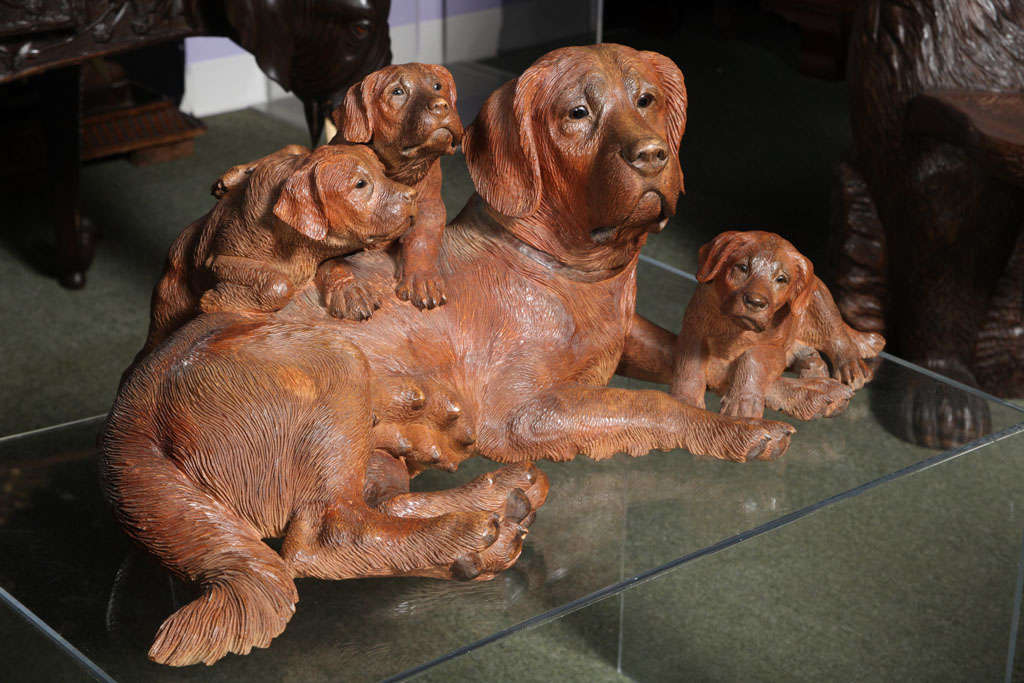 Swiss Black Forest dog group For Sale