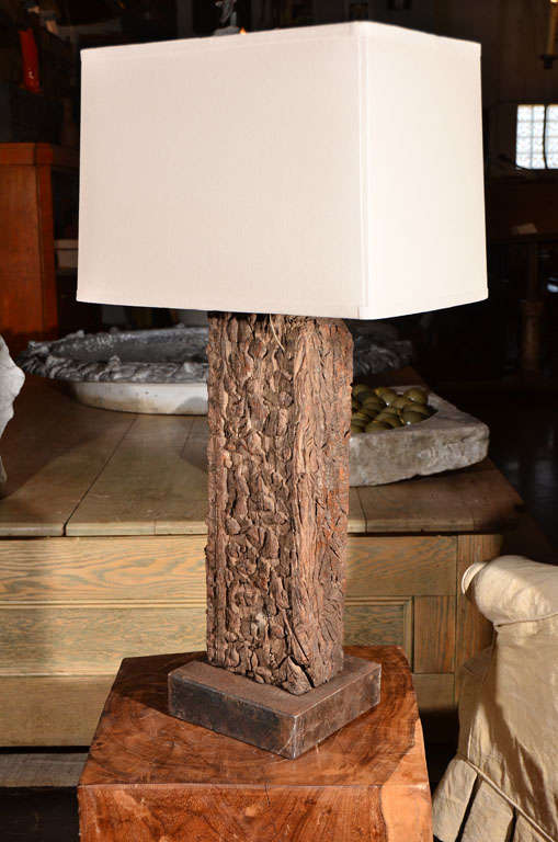 Lamp with Indian Wood Fragment