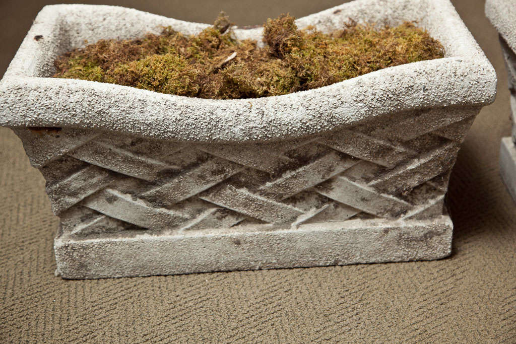 Pair of Lattice Design Cement Planters 3