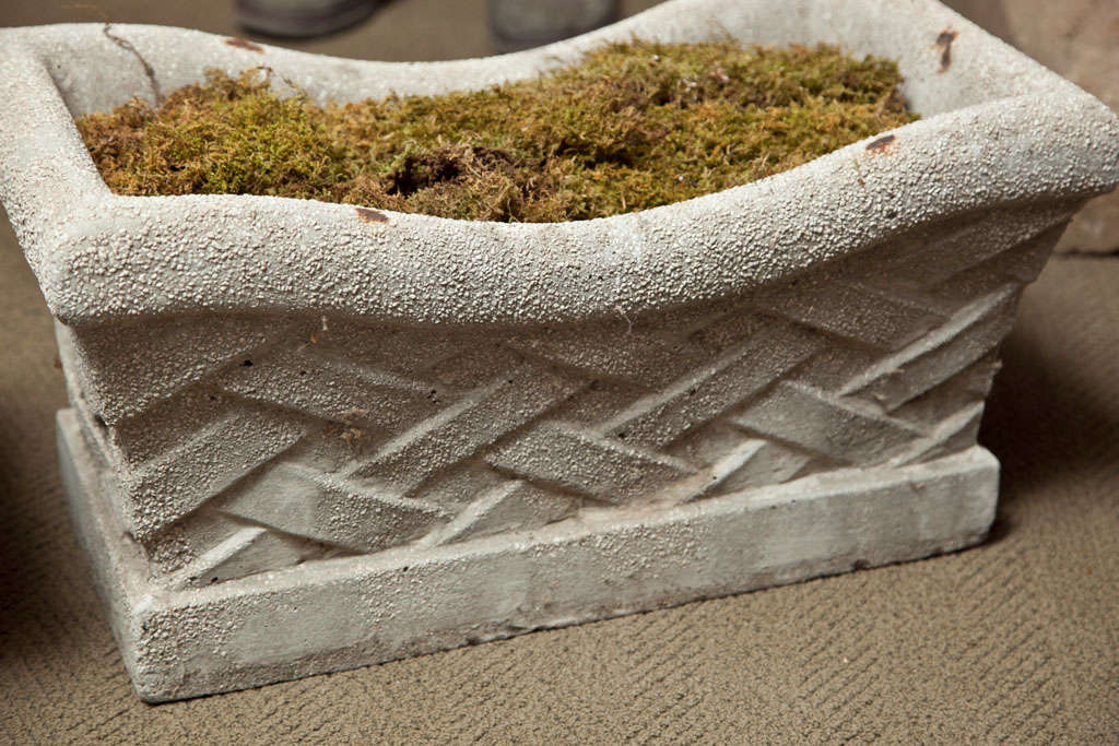 Pair of Lattice Design Cement Planters 4