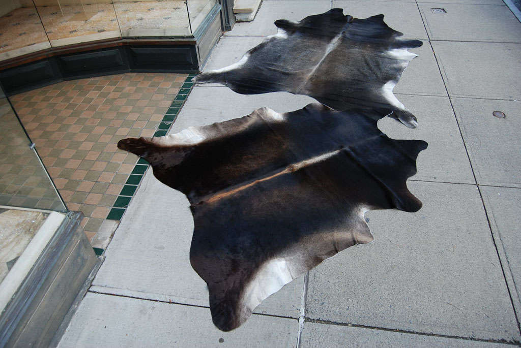 Pair of Vintage Cowhide Rugs