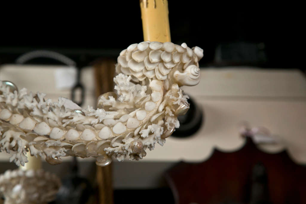 Coral Chandelier With Shells Attributed To Jensen For Sale 3