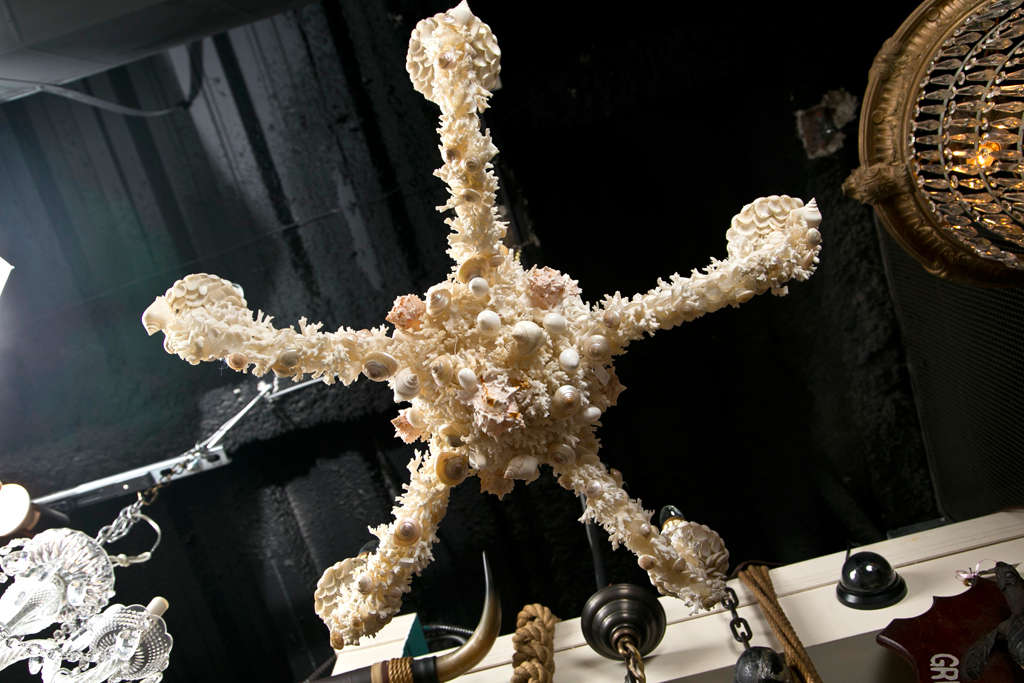 French Coral Chandelier With Shells Attributed To Jensen For Sale
