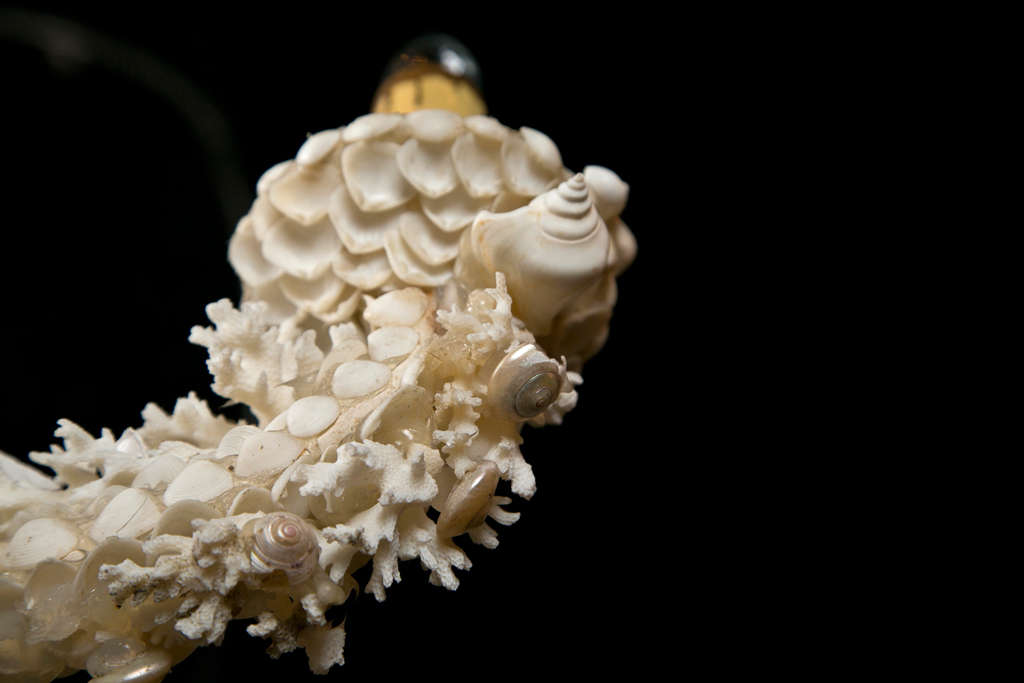 Coral Chandelier With Shells Attributed To Jensen In Excellent Condition For Sale In Bedford, NY