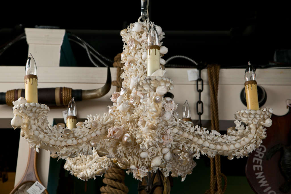 Coral Chandelier With Shells Attributed To Jensen For Sale 2