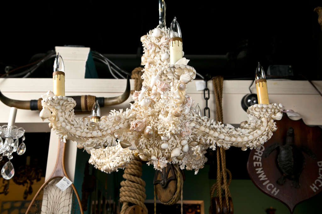 Five light chandelier for wide base bulbs- off white color coral from a reef; snail, clam and other shells that reside in reef throughout the fixture. Jensen of Paris is known to make this type of fixture so we can attribute it to them. 

Height