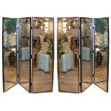 Pair of folding screen .