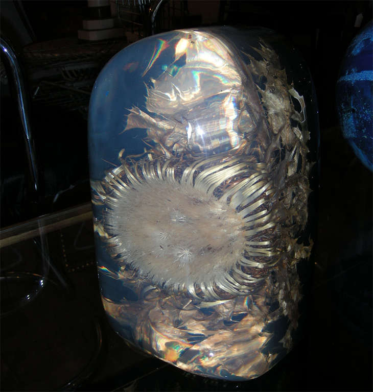 1970s Thistle Set in a Resin Block by Pierre Giraudon